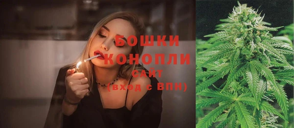 бошки Новозыбков