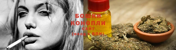 a pvp Новодвинск