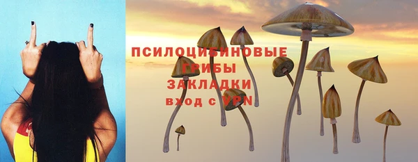 a pvp Новодвинск