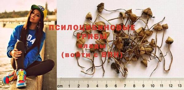 mdma Новокубанск