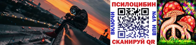 Псилоцибиновые грибы мицелий  Купить  Данков 